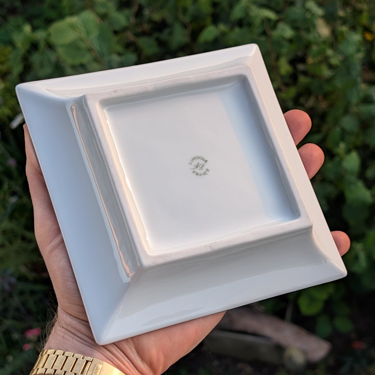 Omega Limoges Vide Poche Tray Collectible